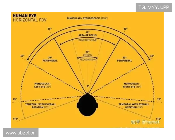 罗德里的场上视野与调度